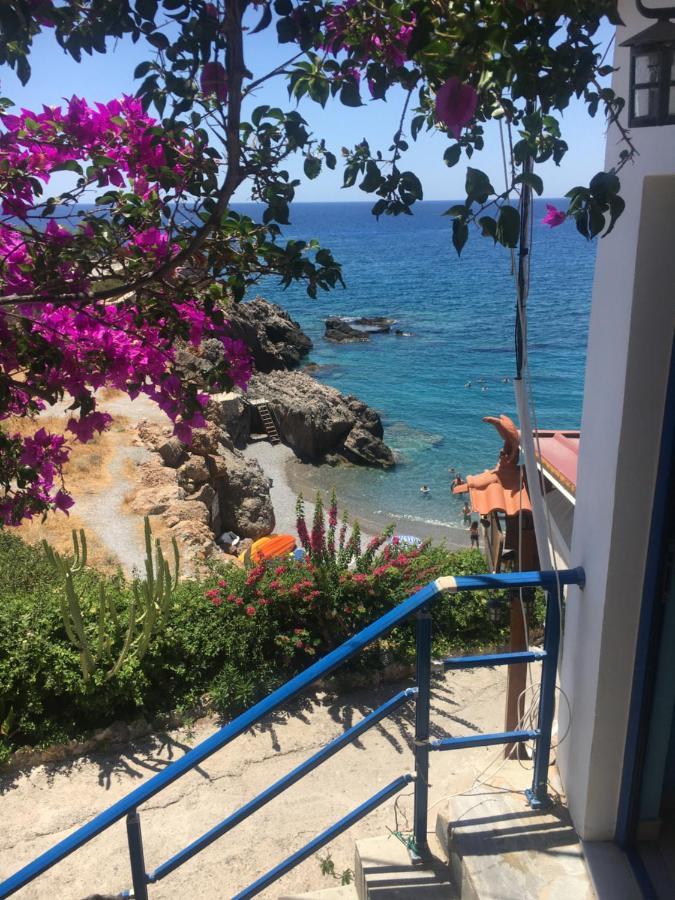Great Sea-View Apartment. Χώρα Σφακίων Εξωτερικό φωτογραφία